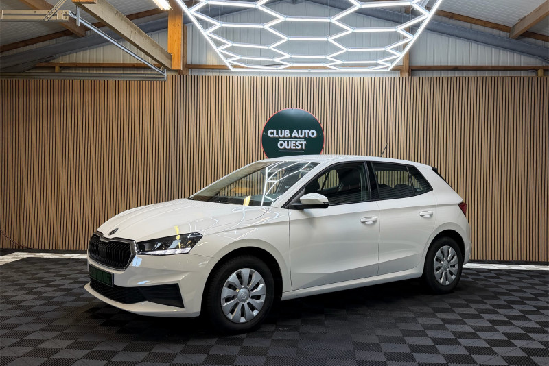SKODA FABIA - Photo 1